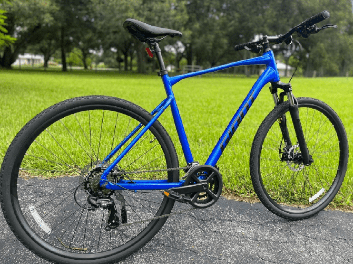 Blue bicycle parked on asphalt path, green grass in the background.